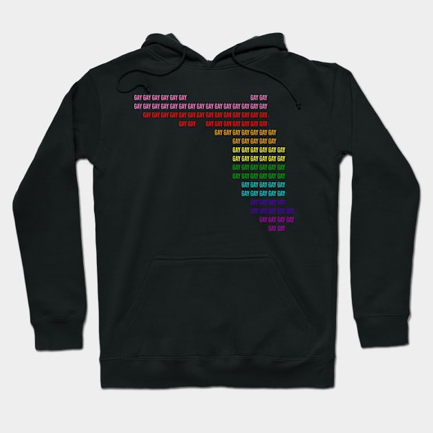 Florida Say Gay Hoodie by n23tees